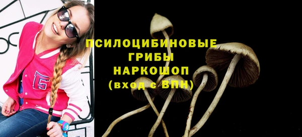 дживик Алзамай