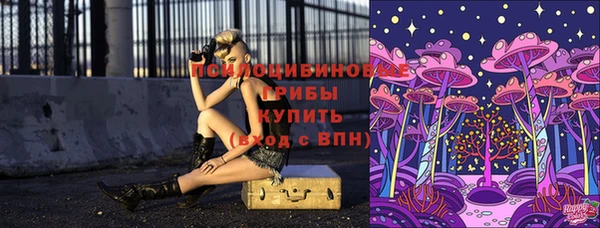 дживик Алзамай