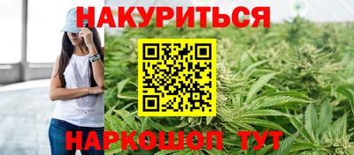 сатива Коммунар