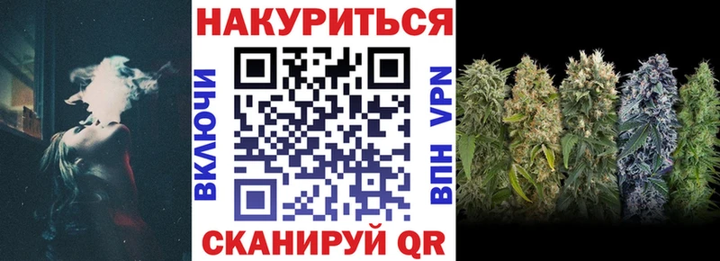 как найти   Кольчугино  МАРИХУАНА сатива 